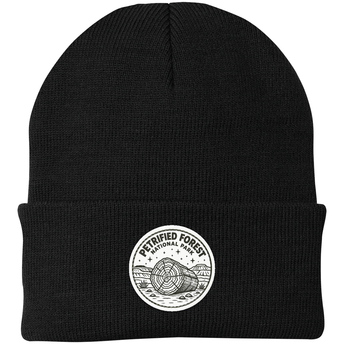 Petrified Forest National Park Leather Patch Beanie — Black — front